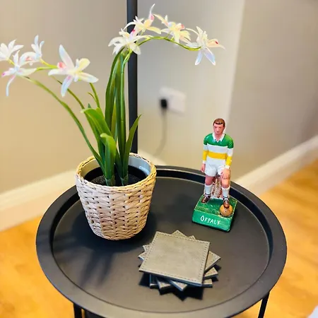 Boru Walk Townhouse -stylish & Modern